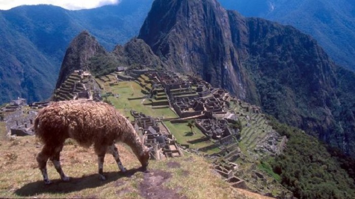 Tourist dies in Machu Picchu taking photo